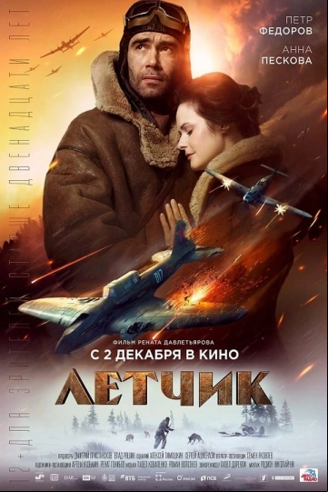 The Pilot: A Battle for Survival FRENCH WEBRIP 1080p 2023