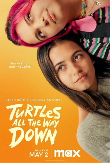 Turtles All The Way Down FRENCH WEBRIP 1080p 2024