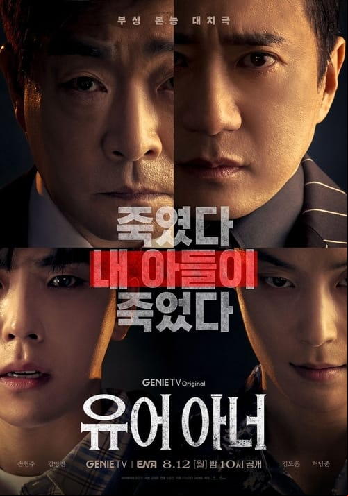 Your Honor VOSTFR S01E01 HDTV 1080p 2024
